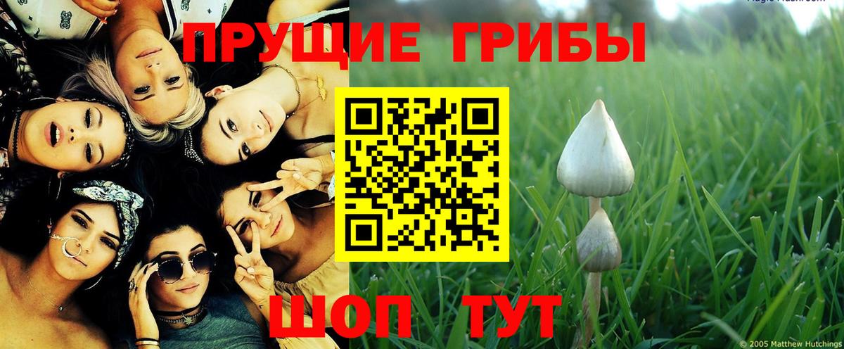 Псилоцибиновые грибы мухоморы  Вход с VPN  закладки  Печора 